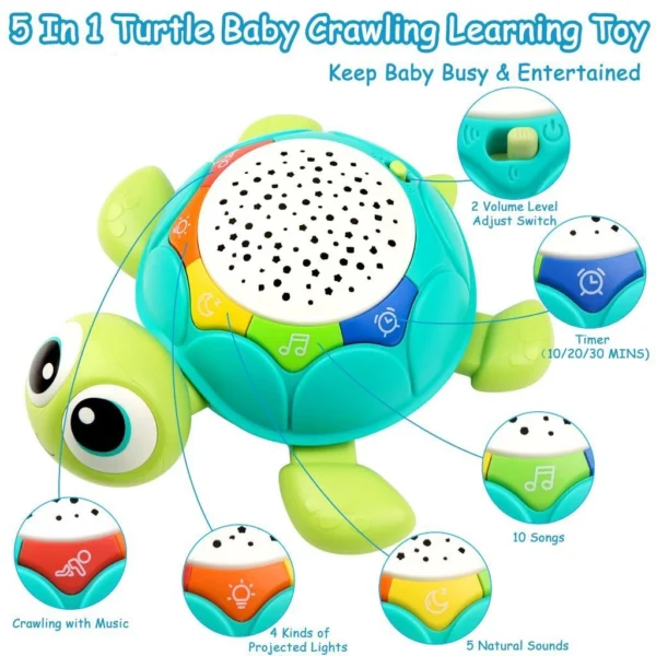 Baby Learning Toy Musical Turtle Toy with Lights   Sounds Kids Electronic Early Educational Developmental Toys